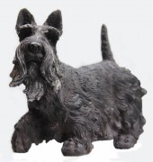 2023 Hond met lang haar 800